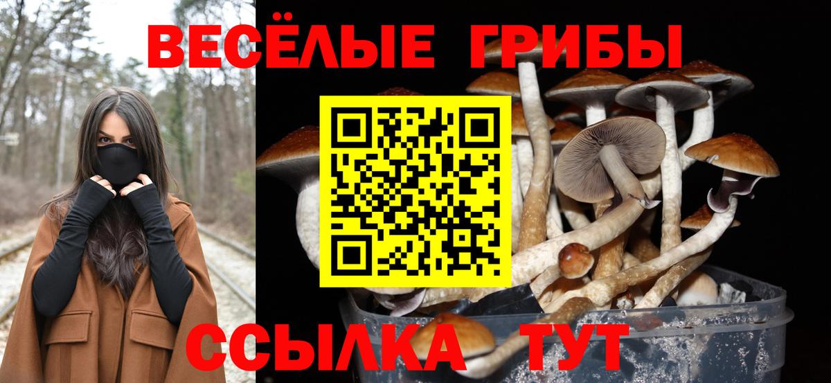 Балахна  Псилоцибиновые грибы прущие грибы  Галлюциногенные грибы MAGIC MUSHROOMS  Вход с VPN 