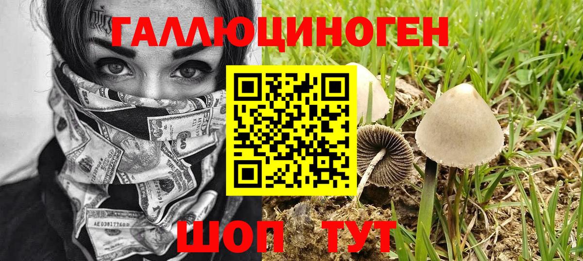 Галлюциногенные грибы мицелий Балахна